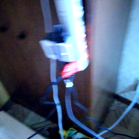 朝からテンションMAX？の画像