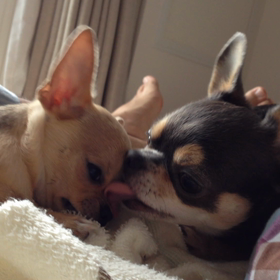 優しいお兄ちゃん( ᵕ́ૢ‧̮ᵕ̀ૢ)‧̊·*の画像