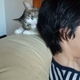 *おはよう！の画像