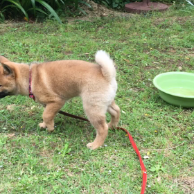 ケリー7DAYSの画像