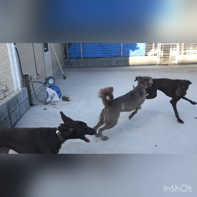 ティム母さんと子供たちの画像