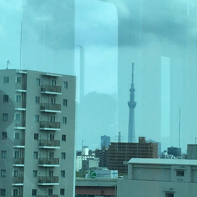 8/29 火曜日の画像