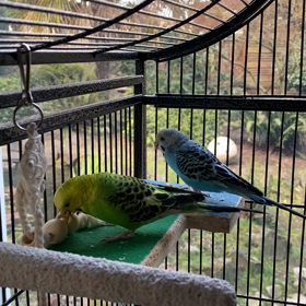 新しい発見の画像