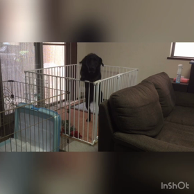 は〜ちゃんのチャレンジシリーズ！の画像