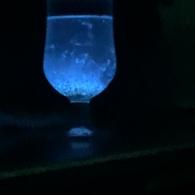 ウミホタルの画像