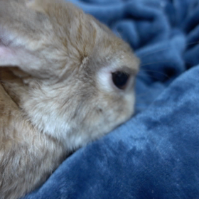 老いらくの恋、強引な恋、嫉妬も無くならないよね(^_^;)の画像