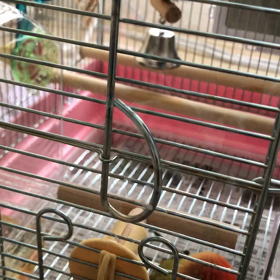 ボランティア精神にあふれてるの画像