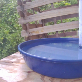 すぎぴたんの事件簿シーズン3　323話（氷のサービス！　ドリンクバー）の画像