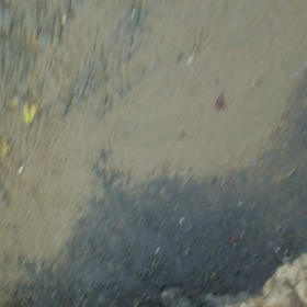 初公開ファーム動画(洪水)①の画像