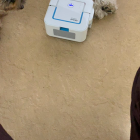 拭き掃除ロボット❣️の画像