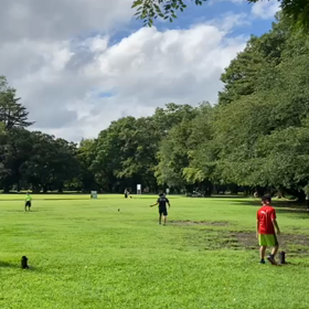 9月3日 ジャベリックボール投げ②の画像