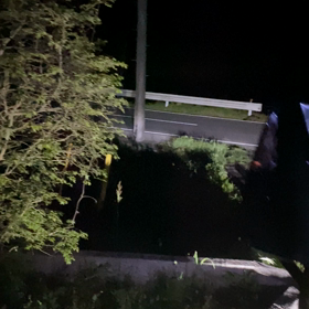 昨日の夜はの画像