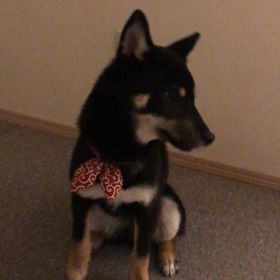 壁ドン（笑）の画像