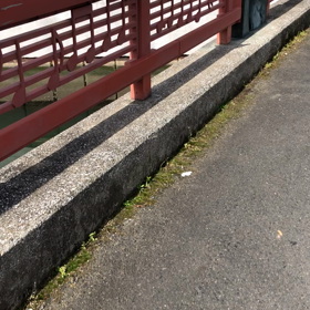 きょうの鳩友／動画の画像