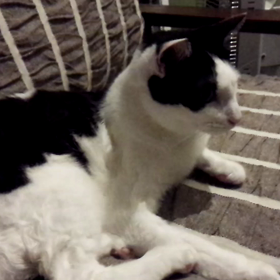 煮汁飲まれたその後の画像