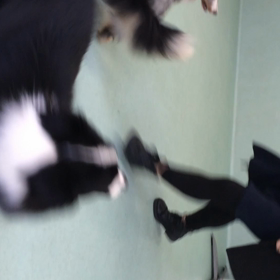 理解できた。の画像