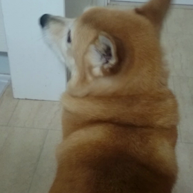 納得いかないままですが・・・。の画像