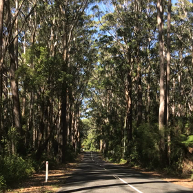 ハマってしまったかも。。。の画像