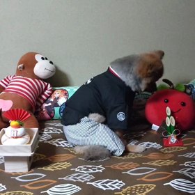 お正月2023の画像