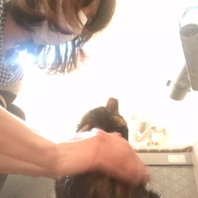 ふーちゃんシャンプータイムの画像