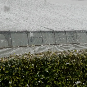 ☆本降りの伊勢初雪☆の画像