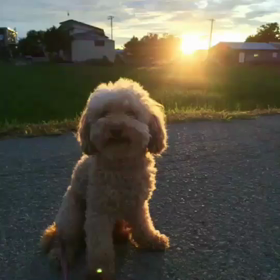 なんともの画像