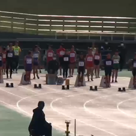 ６年女子100m④の画像