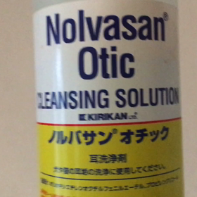 耳掃除嫌い〜( ^ω^ )の画像