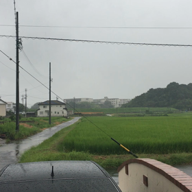 たいふ〜の画像