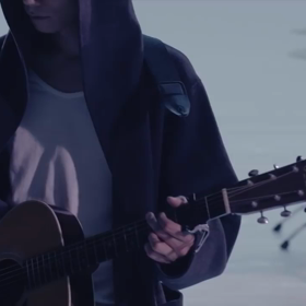 ワタリドリの画像