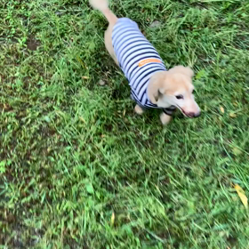 朝からfightの画像