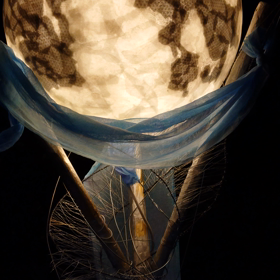 京都東山花灯路2019(春)の画像