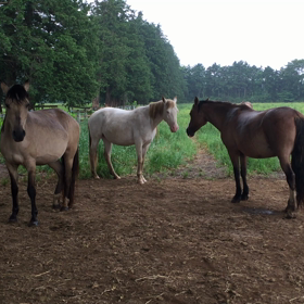 雨降るとの画像