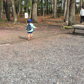 朝のバタバタの画像