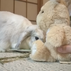 なんだ！？の画像