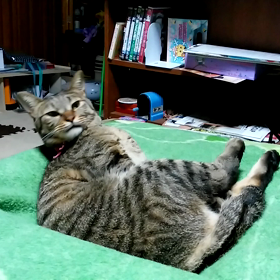 どこでも僕の場所の画像