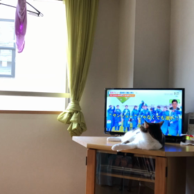 ワクチン2回目の私の体観察！隣の新築工場とデール。の画像