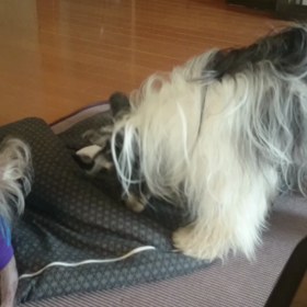 その臭いを 着けづにはいられないの画像