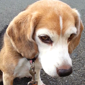 おやつマル飲みの画像