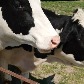 素敵な出会いに感謝の画像