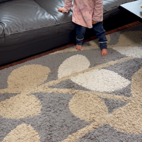 しぃちゃん立ちたいdayの画像