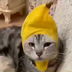 笑わせていただきました！！の画像