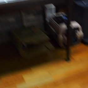 猫さん、仲良いですね動画の画像