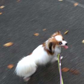 ☆今日の幸くん☆の画像