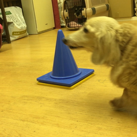 マロン編。の画像