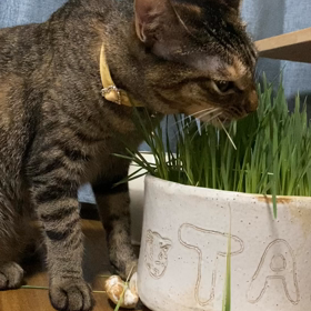 素敵な体験のお客様の画像