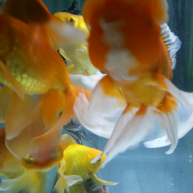 水温が25℃。の画像