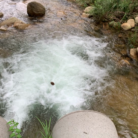 ガッツダゼ‼︎の画像