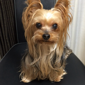 なあなあ〜桃太郎♬の画像