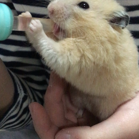 何度見ても。の画像